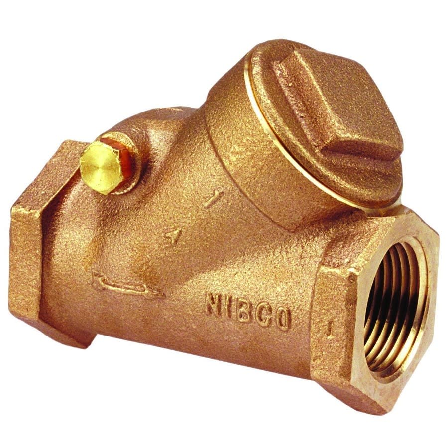 Swing Check Valve, 1 in, FNPT, Bronze