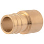 Adapter, 1 in, Expansion PEX x C, Brass