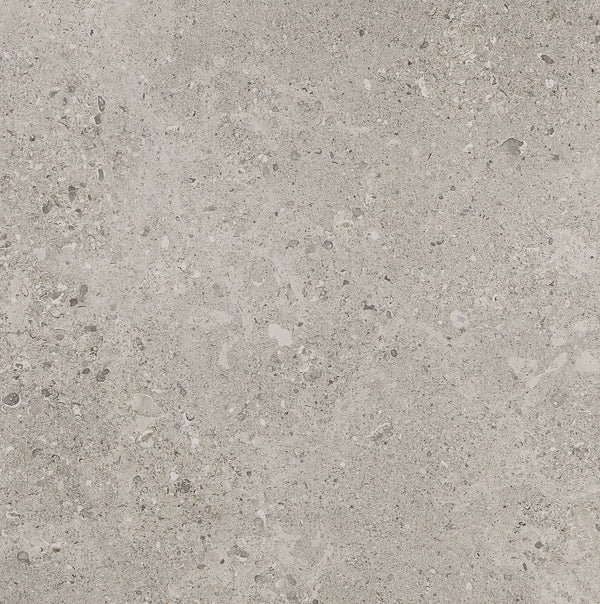 Nominee Taupe Xterior Paver 24X24 Matte
