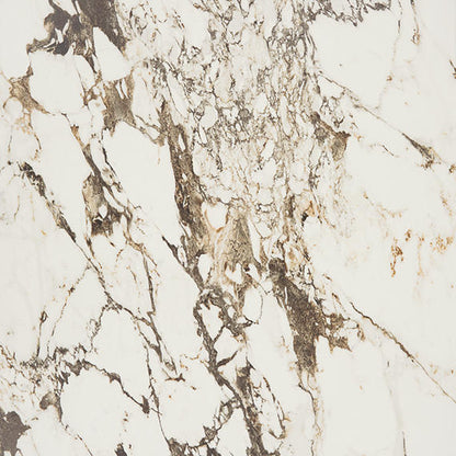 Panoramic Duet Calacatta Aries Square 48X48 Matte