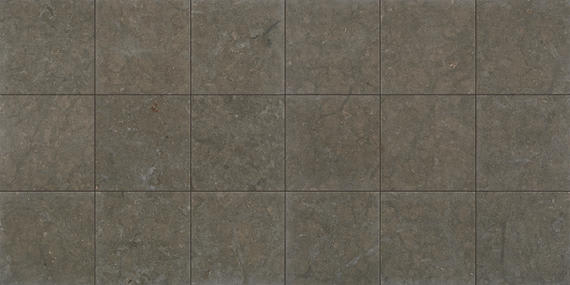 Limestone Lagos Blue Square 12X12 Honed