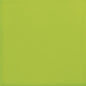 Color Story Wall Green Apple Rectangle 3X6 Glossy