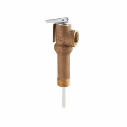 Temperature & Pressure Relief Valve, 3/4 in, MNPT x FNPT, Bronze