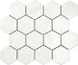 Artistic Reflections Artic Hexagon 3X3 Glossy
