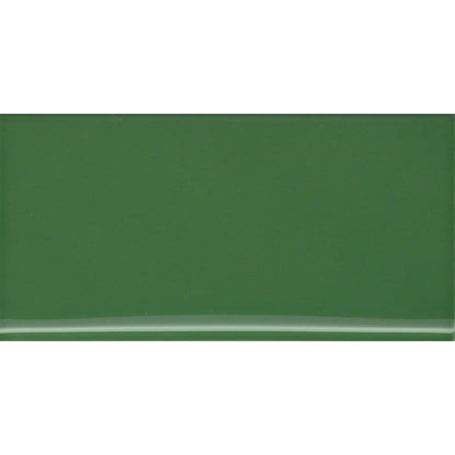 CATCH CLOVER GL SBN 3X6