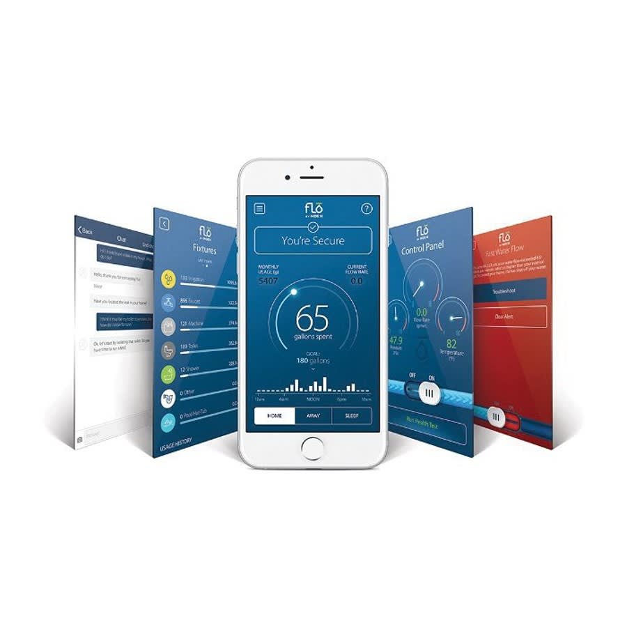 Flo by Water Monitoring and Leak Detection System, 1-1/4 in, NPT, 12 VDC/100 to 240 VAC