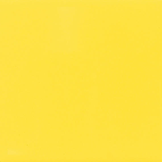 Color Wheel Classic Sunflower Rectangle 3X6 Glossy