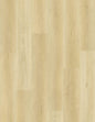 Sahara Sandstone