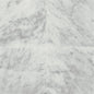 Marble Carrara White Square 12X12 Honed