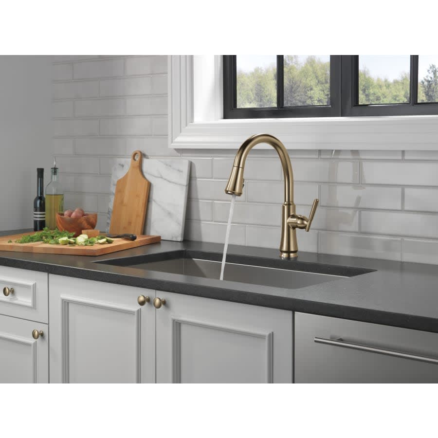 Coranto 1.8 GPM Single Hole Pull Down Kitchen Faucet with Magnetic Docking Spray Head and ShieldSpray