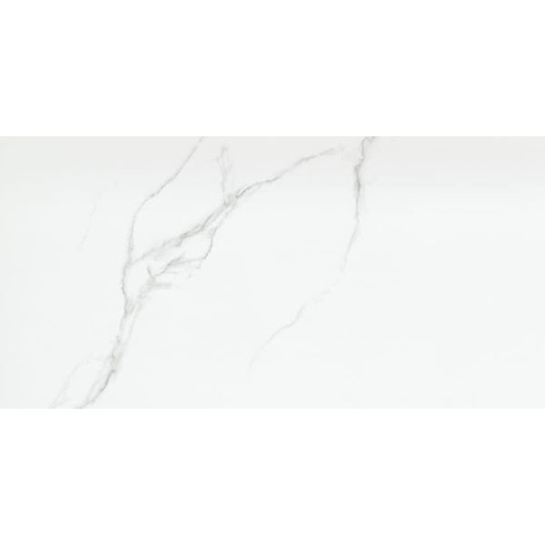 DUCHESSA SILVER MT 12X24