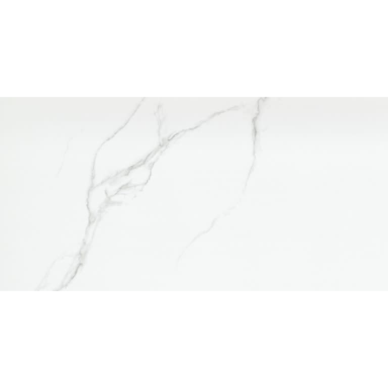 DUCHESSA SILVER PL 12X24 (Discontinued)