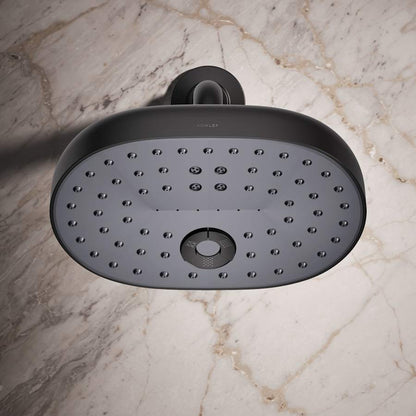 Statement 2.5 GPM Multi Function Shower Head with MasterClean Sprayface and Katalyst Air Induction Technology