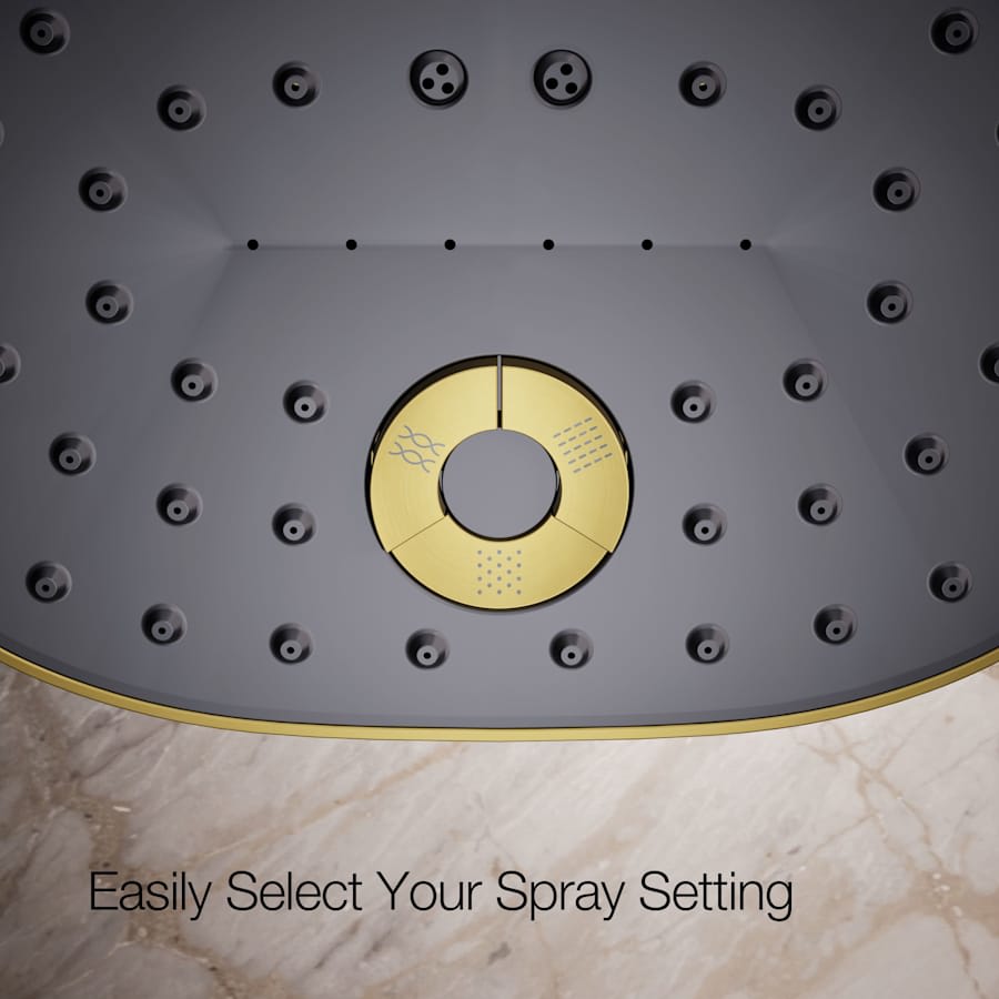 Statement 2.5 GPM Multi Function Shower Head with MasterClean Sprayface and Katalyst Air Induction Technology