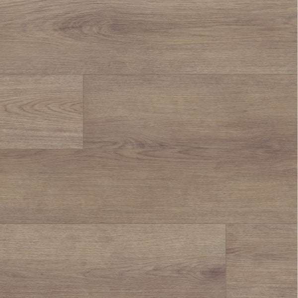 CORBY II WILLOW 2MM/12ML GLU-D