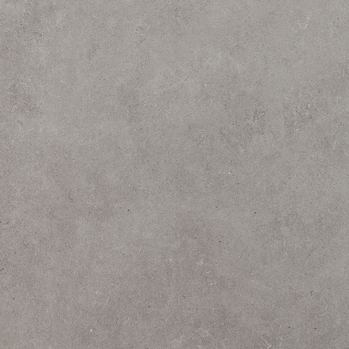 Haut Monde Glitterati Granite Rectangle 12X24 Polished