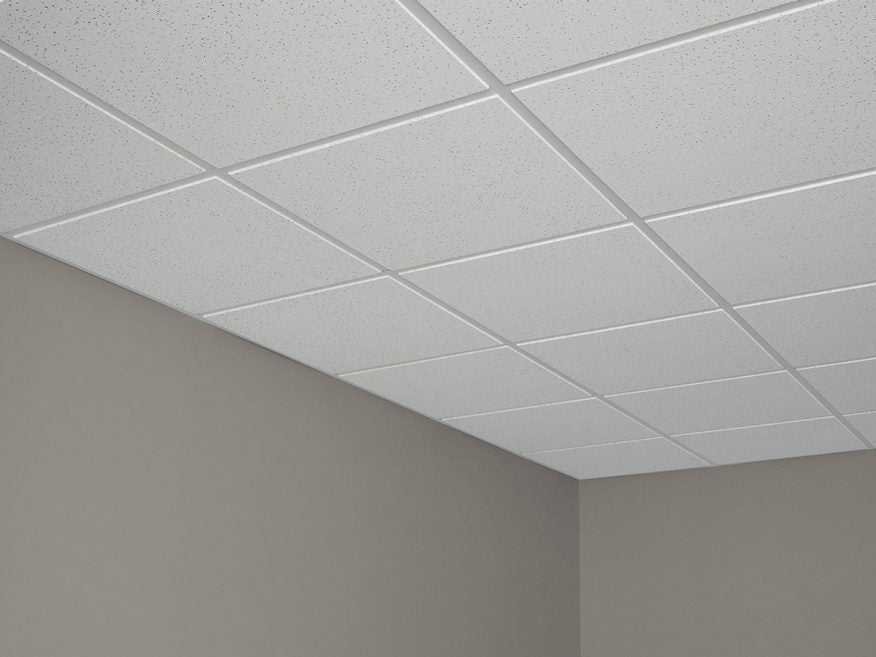 2 ft. x 2 ft. Radar Basic White Square Edge Lay-In Ceiling Tile, case of 4 (16 sq. ft.)