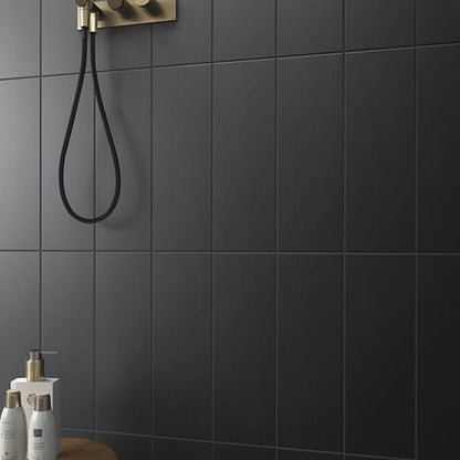 Color Wheel Linear Matte Black Rectangle 4X8 Matte