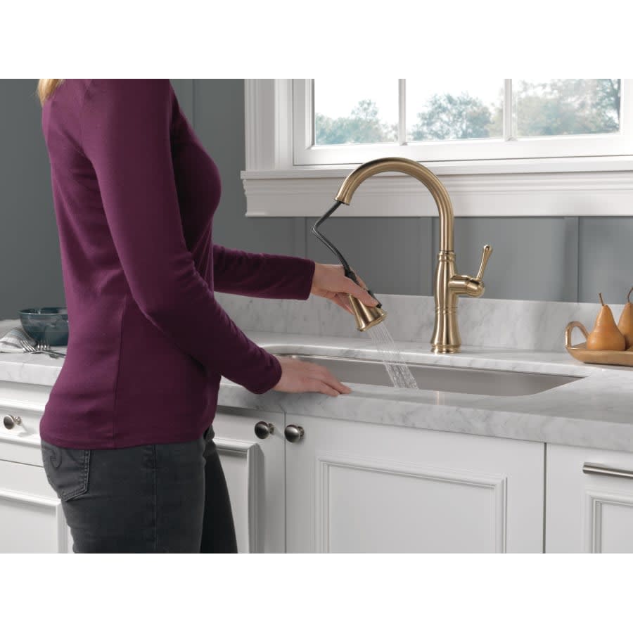 Cassidy Pull-Down Kitchen Faucet with Magnetic Docking Spray Head and ShieldSpray - Includes Lifetime Warranty