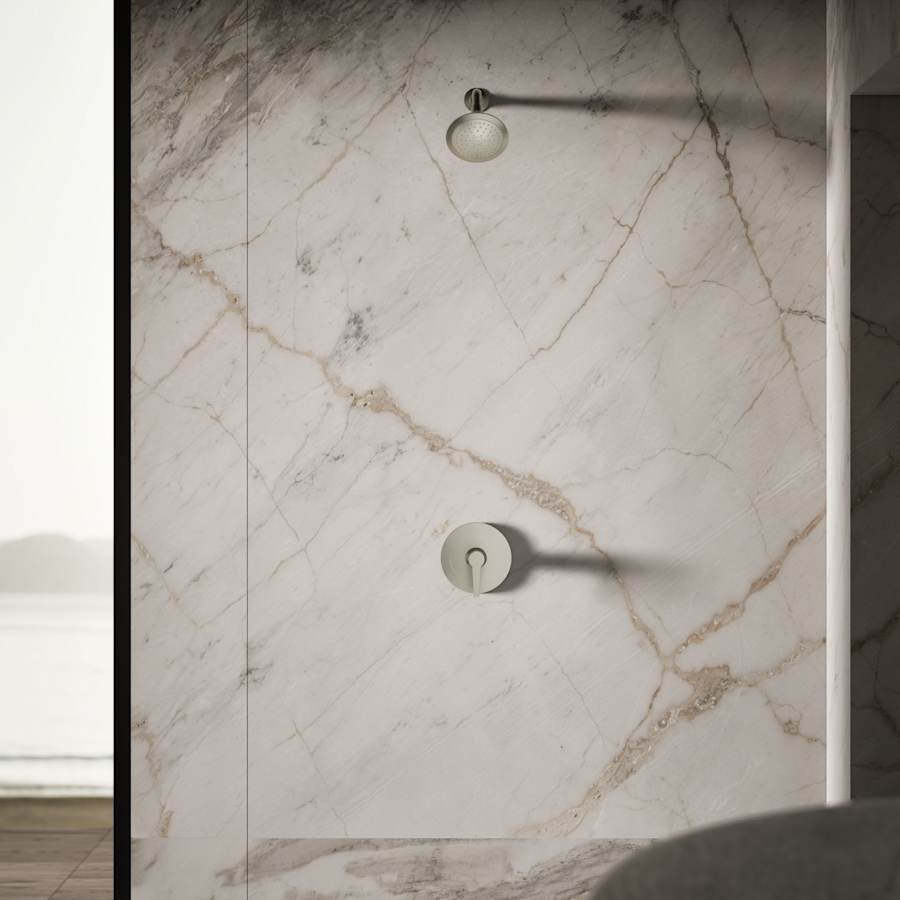 Forte 2.5 GPM Single Function Shower Head with Katalyst Air-induction Technology