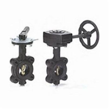 Lug Style Butterfly Valve, Lever Handle, 4 in, Flange, Ductile Iron