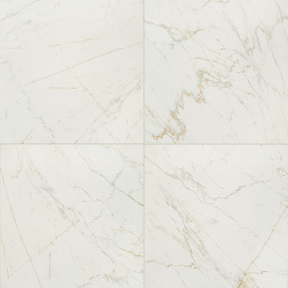 Panoramic Duet Diamond Mine Rectangle 24X48 Matte