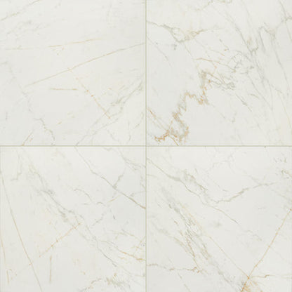 Panoramic Duet Diamond Mine Rectangle 12X24 Matte