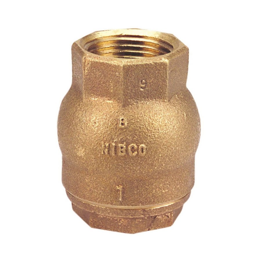 Ring Check® Spring Check Valve, 2 in, FNPT, Bronze