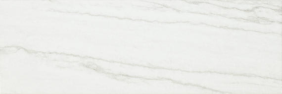 Platinum Oyster Rectangle 12X24 Matte