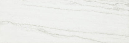 Platinum Oyster Rectangle 12X24 Matte