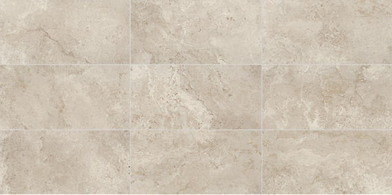 Cavatina Aria Rectangle 12X24 Matte