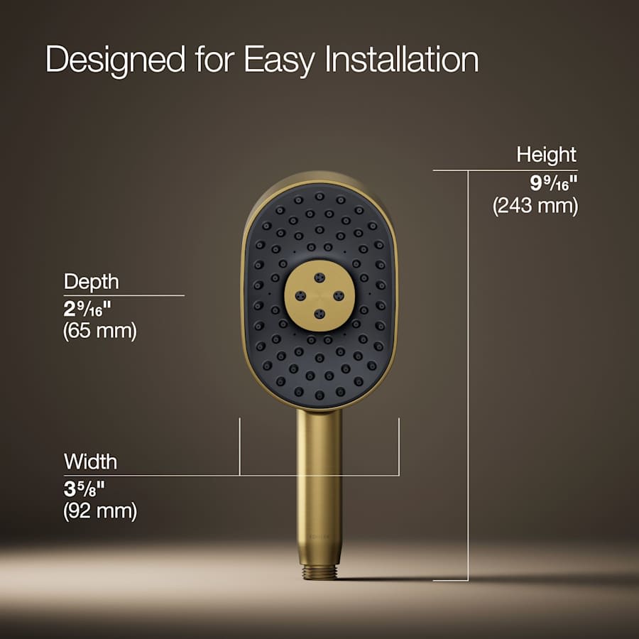 Statement 2.5 GPM Multi Function Hand Shower with MasterClean Sprayface
