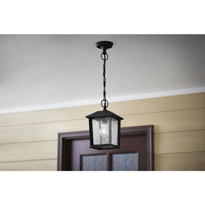 Ashton 1-Light Black Outdoor Pendant Light with Clear Seeded Glass