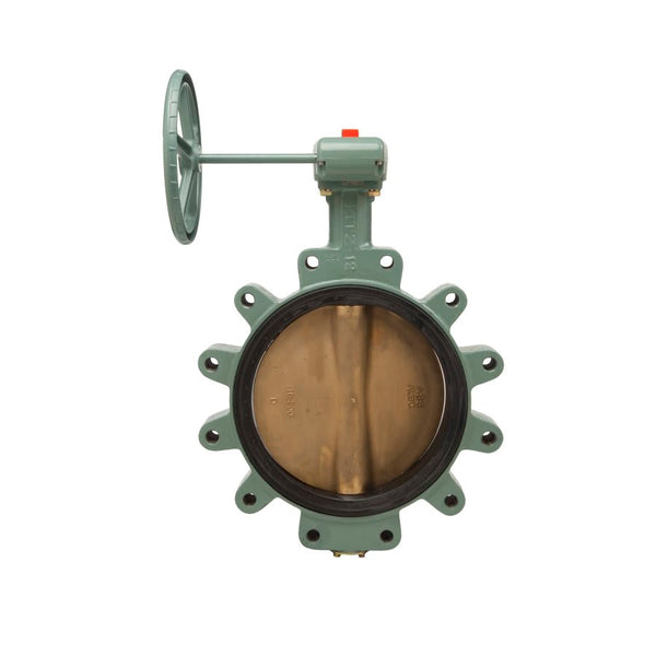 Lug Style Butterfly Valve, Gear Operator, 8 in, Flange, Ductile Iron