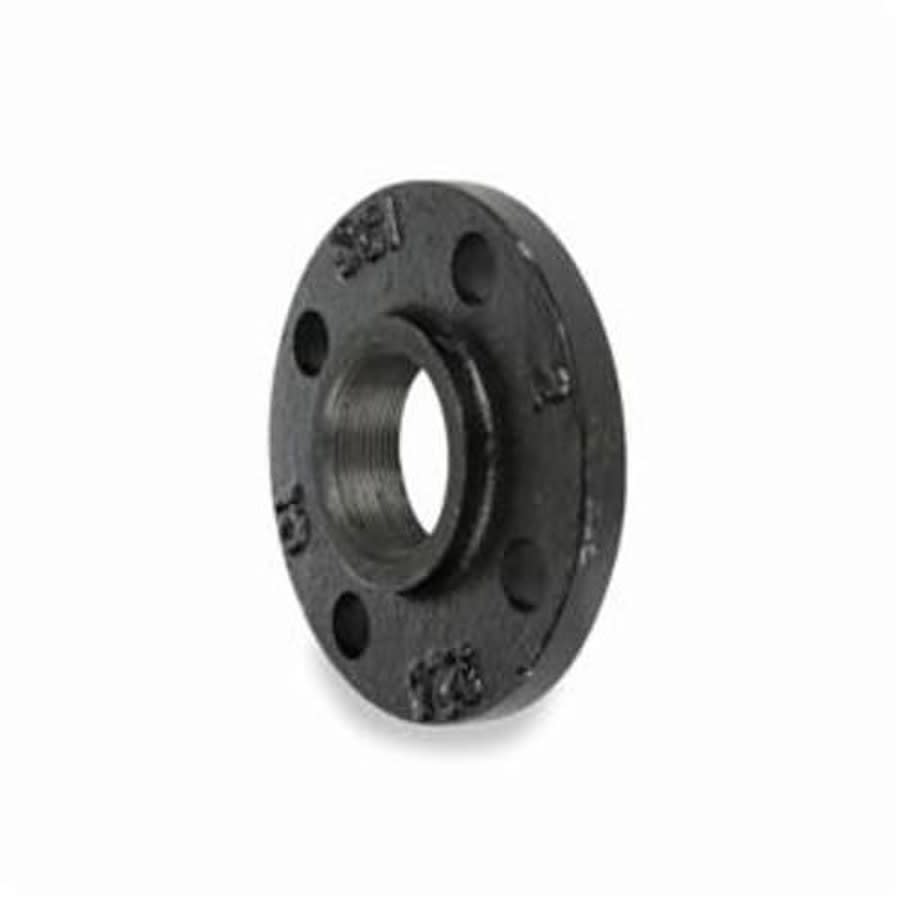 Companion Flange, 1-1/4 in, FNPT, 4-5/8 in OD, Malleable Iron, Black