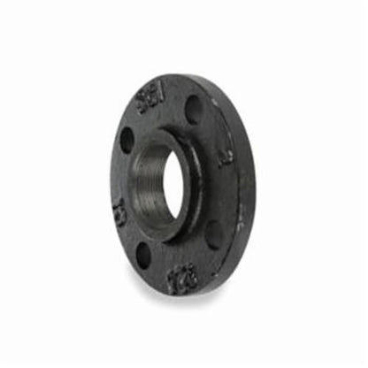 Companion Flange, 1-1/4 in, FNPT, 4-5/8 in OD, Malleable Iron, Black