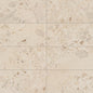 Sand and Stone Summit Rectangle, Stone 24X48 Matte