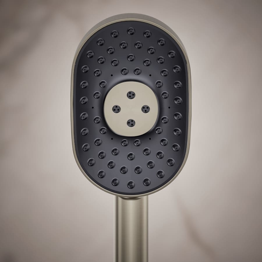 Statement 2.5 GPM Multi Function Hand Shower with MasterClean Sprayface