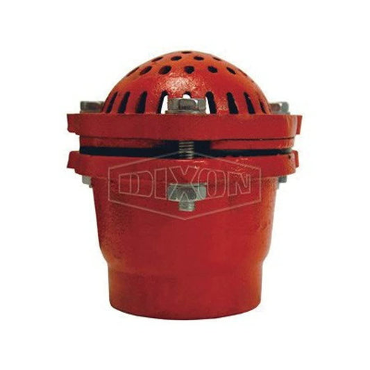 Foot Valve, 2 in, FNPT, Cast Iron