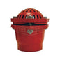 Foot Valve, 2 in, FNPT, Cast Iron