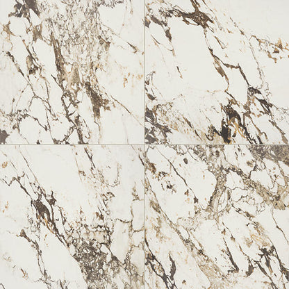 Panoramic Duet Calacatta Aries Square 48X48 Matte