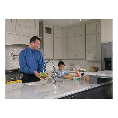 Pot Filler Faucet, Wall Mount, ADA, 2 Lever Handle, 1-Hole, Arctic Stainless