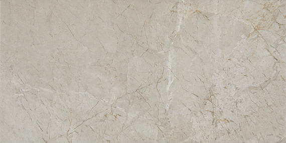 Platinum Quill Rectangle 12X24 Matte