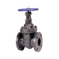 619 Non-Rising Stem Gate Valve, 4 in, Flange, Cast Iron