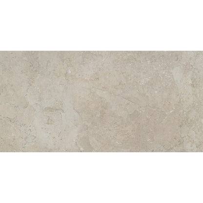 TERRAMOR FULVO HN 12X24