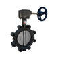 Lug Style Butterfly Valve, Gear Operator, 12 in, Flange, Ductile Iron