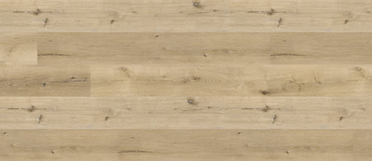 Chestnut Oak