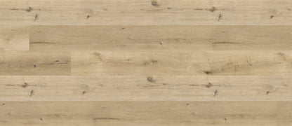 Chestnut Oak