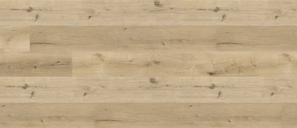 Chestnut Oak