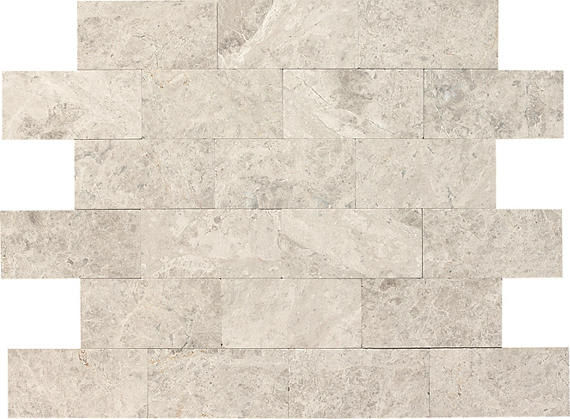 Limestone Arctic Gray Rectangle 12X24 Honed
